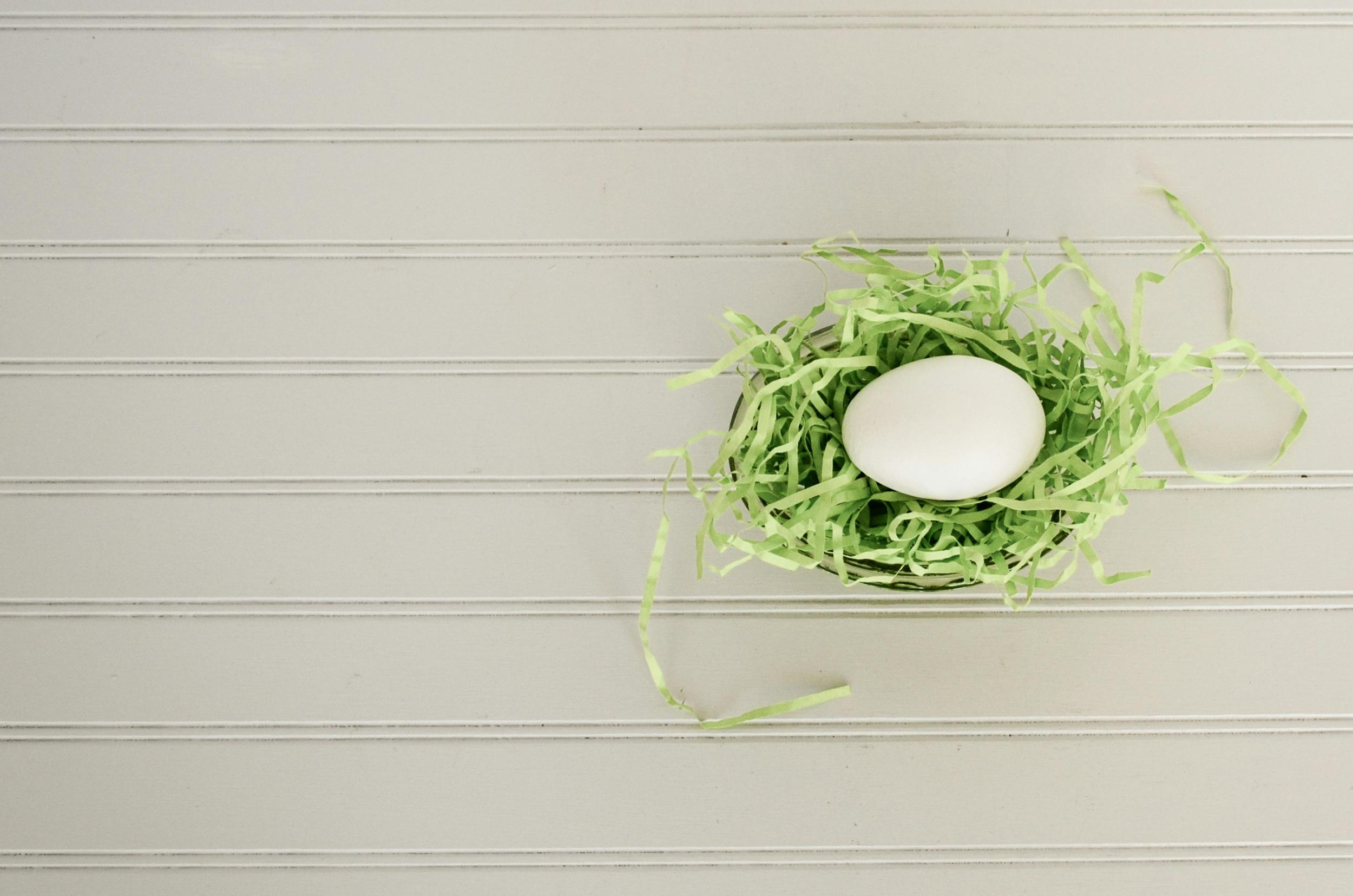 The fundamentals of digital marketing - image of a perfect white egg in a green paper nest