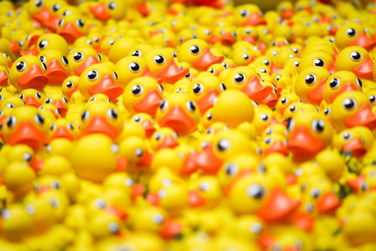 Get your ducks in a row with market research - image of a lot of toy ducks