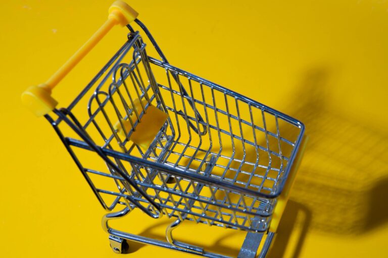 Shopify or WooCommerce: which is the best ecommerce platform for small businesses